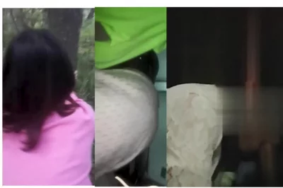 苍井空torrentkitty